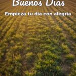 buenos días empieza tu día con alegría