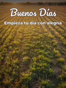Los mejores buenos días del mundo para descargar