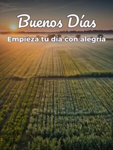 Los mejores buenos días del mundo para WhatsApp