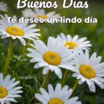 buenos días te deseo un lindo día