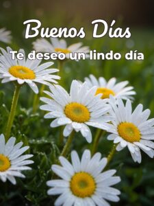 Los mejores buenos días para tu pareja