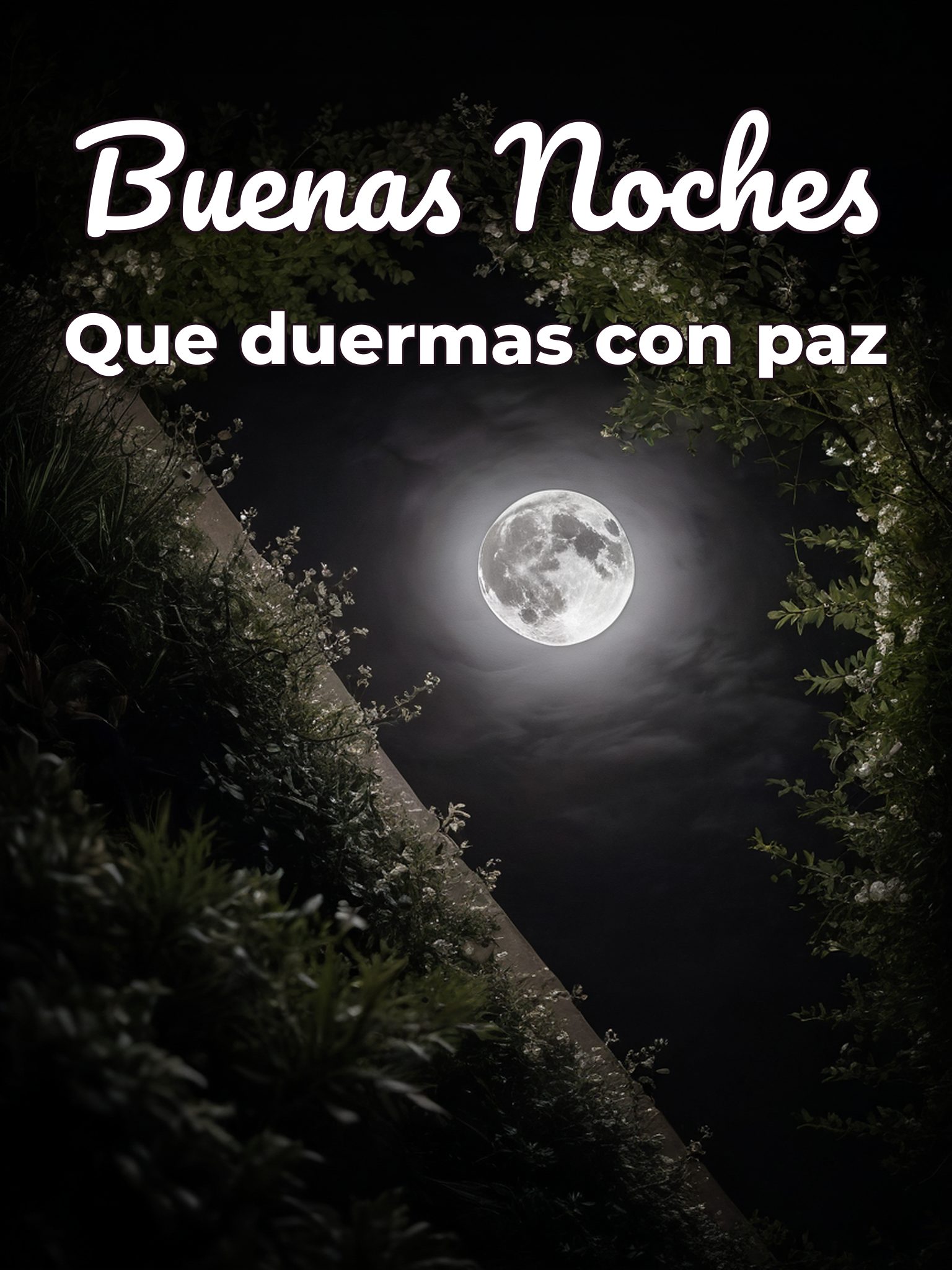 Los mejores mensajes de buenas noches para celular