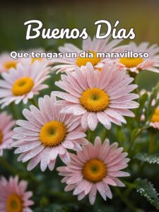 Los mejores mensajes de buenos días para WhatsApp