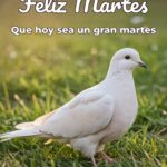 feliz martes que hoy sea un gran martes