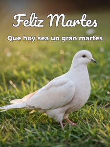 Martes Dios te bendiga para celular