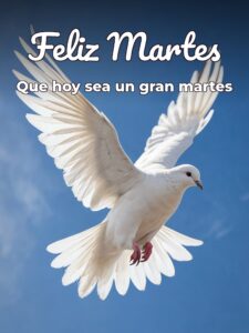 Martes Dios te bendiga para WhatsApp gratis para celular