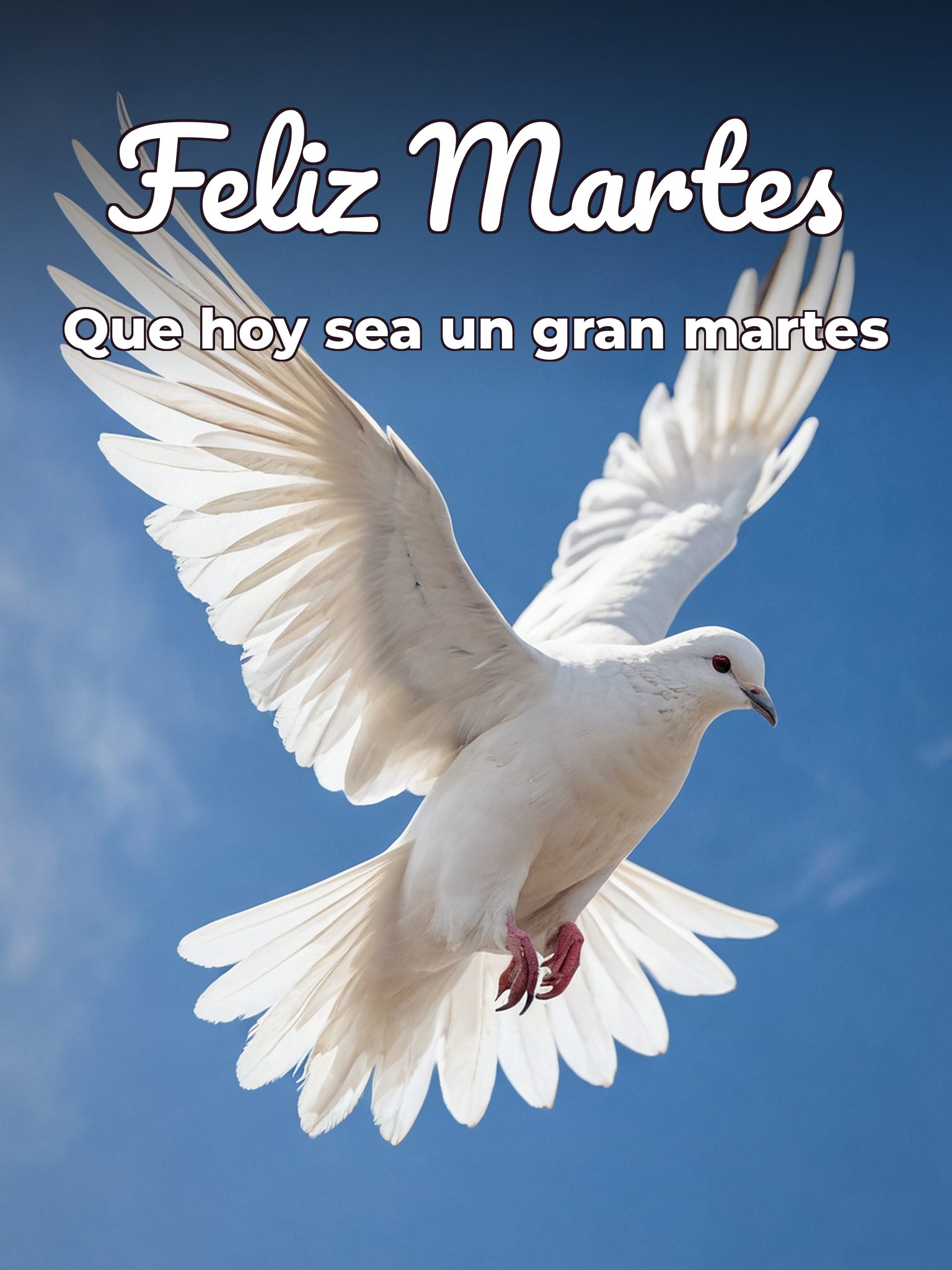 Martes Dios te bendiga para WhatsApp gratis para celular