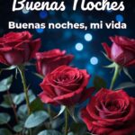 buenas noches buenas noches, mi vida