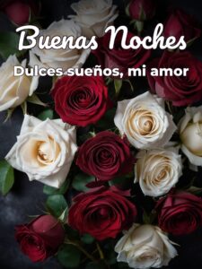 Mensaje buenas noches novia para WhatsApp