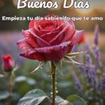 buenos días empieza tu día sabiendo que te amo