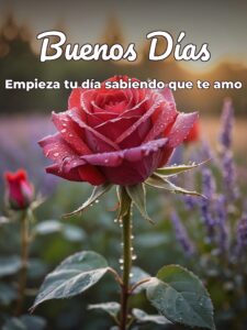 Mensaje buenos días amor