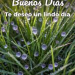 buenos días te deseo un lindo día