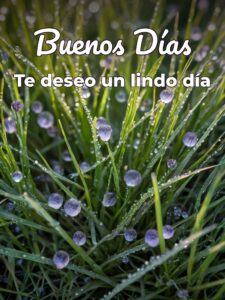 Mensaje de buenos días para conquistar para celular