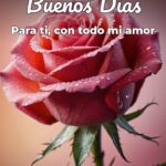 buenos días para ti, con todo mi amor