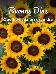 Mensaje de buenos días para para descargar