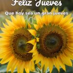 feliz jueves que hoy sea un gran jueves