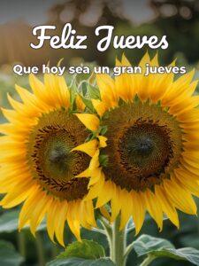 Mensaje de hoy jueves para Facebook