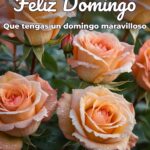 feliz domingo que tengas un domingo maravilloso