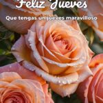 feliz jueves que tengas un jueves maravilloso