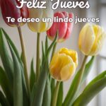feliz jueves te deseo un lindo jueves