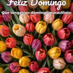 feliz domingo que tengas un domingo maravilloso