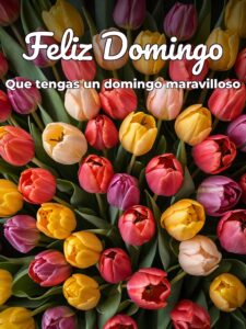 Mensaje positivo para hoy domingo para celular