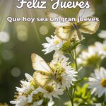 feliz jueves que hoy sea un gran jueves