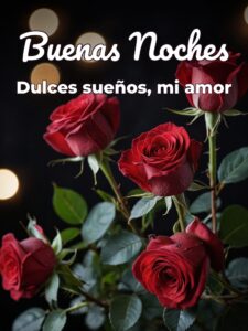 Mensaje se buenas noches para mi novio