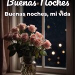 buenas noches buenas noches, mi vida