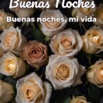 buenas noches buenas noches, mi vida