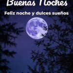 buenas noches feliz noche y dulces sueños