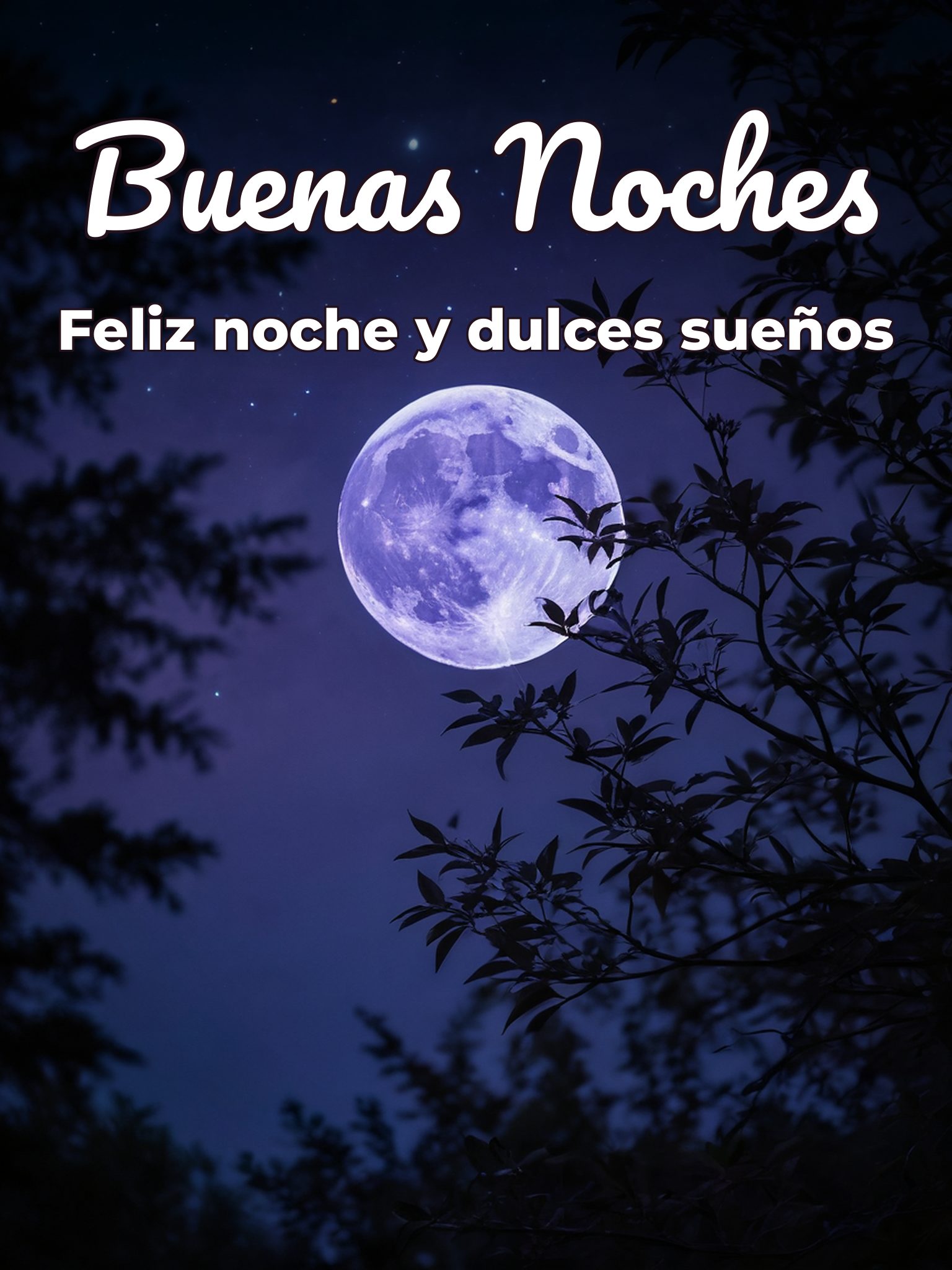 Mensajes bonitos de buenas noches para descargar gratis