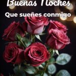 buenas noches que sueñes conmigo