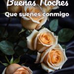 buenas noches que sueñes conmigo