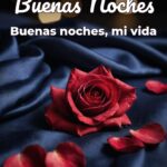 buenas noches buenas noches, mi vida
