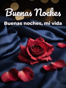 Mensajes bonitos de buenas noches para mi amor para Facebook