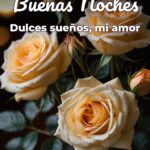 buenas noches dulces sueños, mi amor