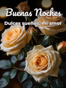 Mensajes bonitos de buenas noches para mi novia