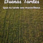 buenas tardes que tu tarde sea maravillosa