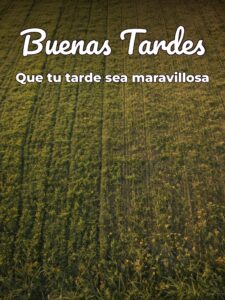 Mensajes bonitos de buenas tardes para celular para Facebook y WhatsApp