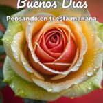 buenos días pensando en ti esta mañana