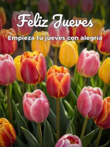 Mensajes bonitos de feliz jueves