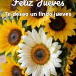feliz jueves te deseo un lindo jueves