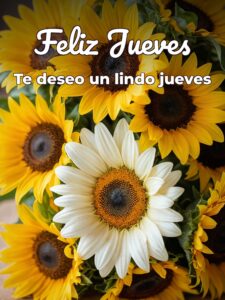 Mensajes bonitos de feliz jueves para celular descargar