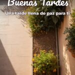 buenas tardes una tarde llena de paz para ti