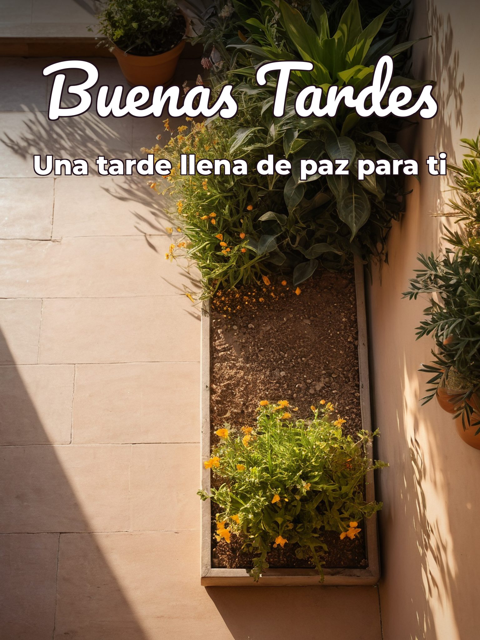 Mensajes bonitos de feliz tarde para WhatsApp celular