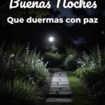 buenas noches que duermas con paz