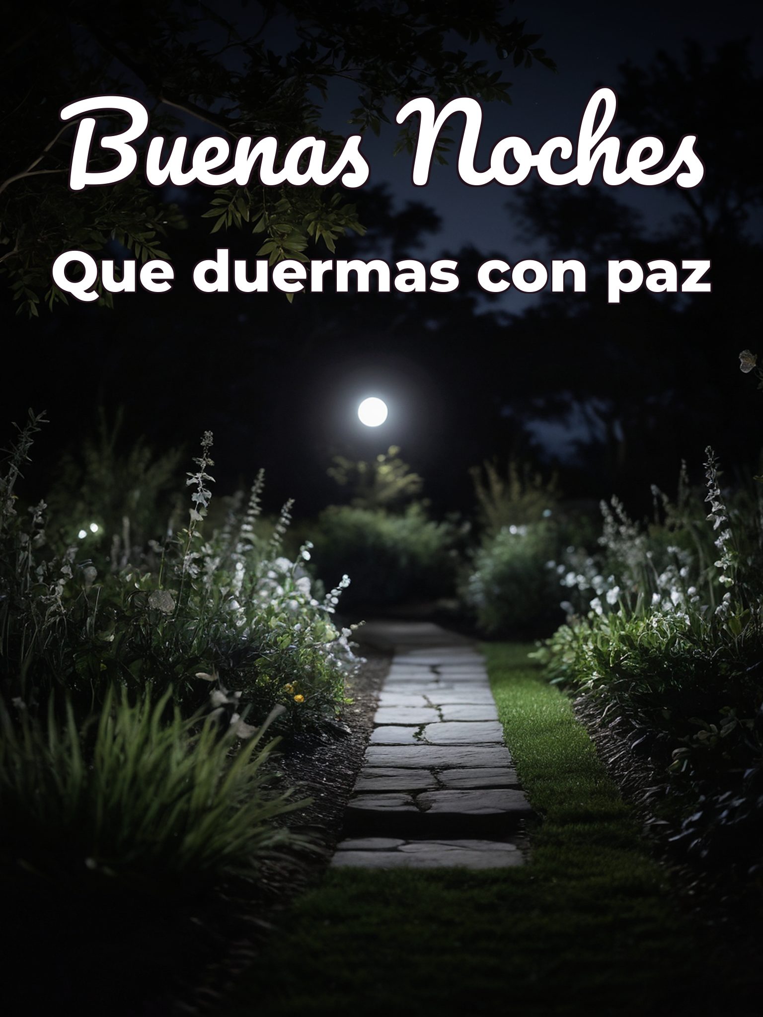 Mensajes bonitos para buenas noches para Facebook