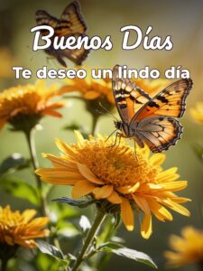Mensajes bonitos para buenos días