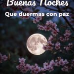 buenas noches que duermas con paz